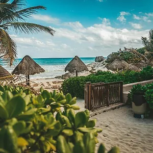 La Conchita (adults Only) 4*, Tulum Mexico